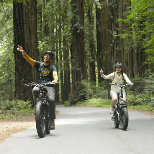 A couple rides bikes through a forest and watches the sights